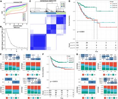 Identification and Validation of Immune Molecular Subtypes and Immune Landscape Based on Colon Cancer Cohort